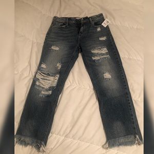 Cello Distressed Jeans